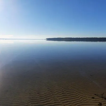 La_pinede_lacanau_ocean Lacanau